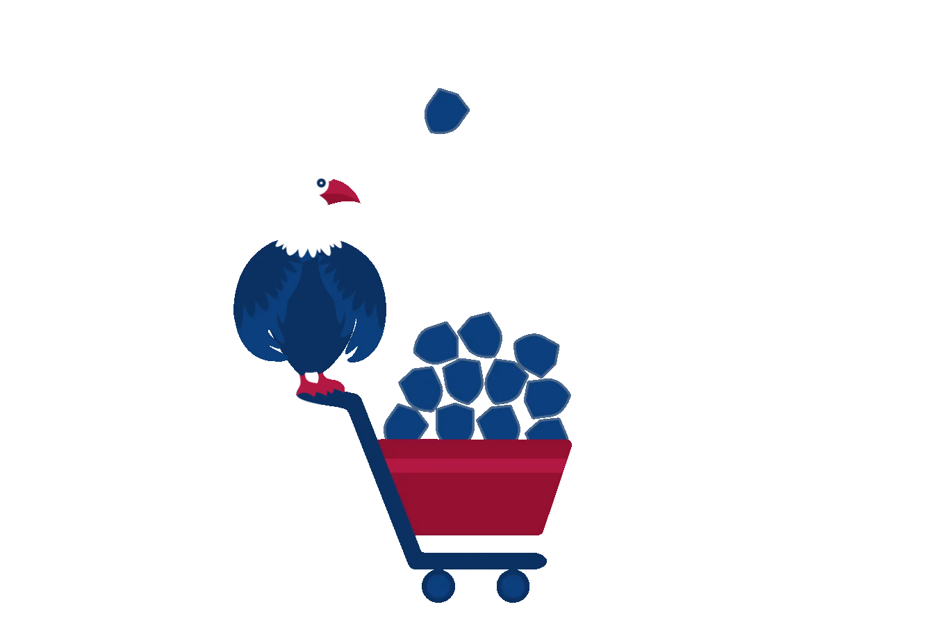 Premium bundle illustration